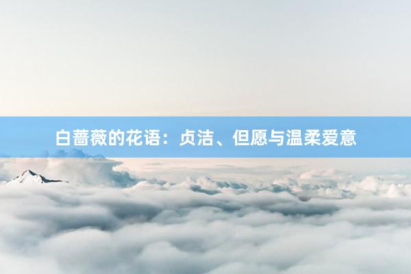白蔷薇的花语：贞洁、但愿与温柔爱意
